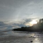 2022年11月上旬・Soi Palai から望むシャロン湾からの風景