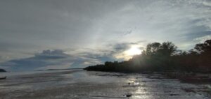 2022年11月上旬・Soi Palai から望むシャロン湾からの風景