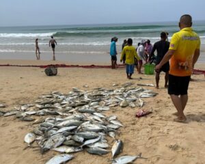 プーケットの地引網 ( プーケット島・カロンビーチにて)