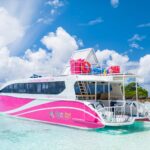 2階建てカタマラン(双胴船)でゆくシミラン島ツアー 　