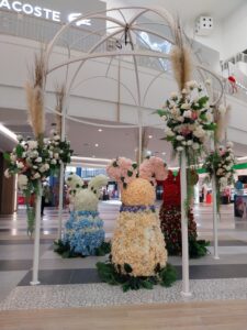 最近のジャンクセイロンの風景
