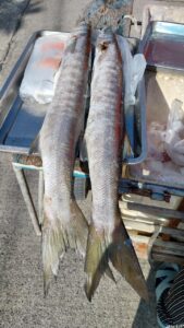 プーケット島内で見かける鮮魚の移動販売