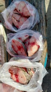 プーケット島内で見かける鮮魚の移動販売
