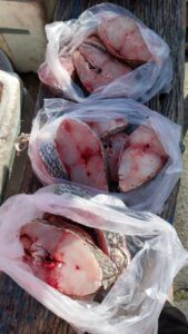 プーケット島内で見かける鮮魚の移動販売