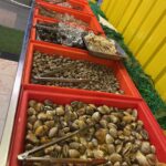 Sai Kor Buffet MooKaTa Seafood (タイスタイルの焼肉レストラン) / パトンビーチのレストラン