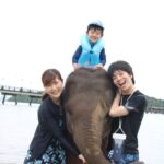 エレファントスイム / アオポー