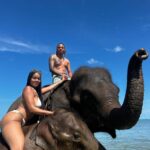 エレファントスイム / アオポー