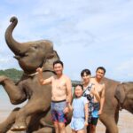 エレファントスイム / アオポー