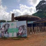 エレファントスイム / アオポー