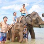 エレファントスイム / アオポー