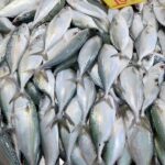 プーケット島・ChaoFa Road・ローカルマーケット最近の風景