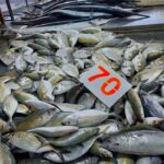 プーケット島・ChaoFa Road・ローカルマーケット最近の風景