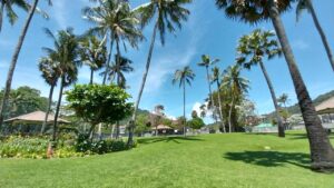 Kata Beach Community Park