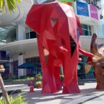 最近のパトンビーチ・ジャンクセイロンの風景