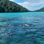 スリン諸島1日ツアーの紹介その2 (2023年度版 )