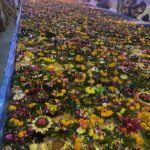 ロイカトーン(灯籠流し)のお祭り @ パトンビーチ