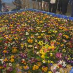 ロイカトーン(灯籠流し)のお祭り @ パトンビーチ