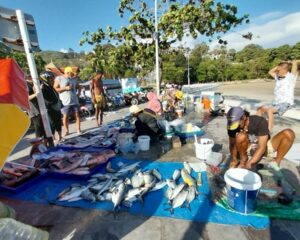 プーケット島・パトンビーチのローカルフィッシュマーケットのある日の風景