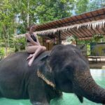 エレファントバス