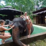 エレファントバス