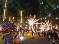 Andaman Tourism Network 2024 (12月8日まで)