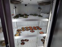 パトンビーチのティムサム屋 (Dim Sum Kee Aon / ติ่มซำขี้อ้อน )