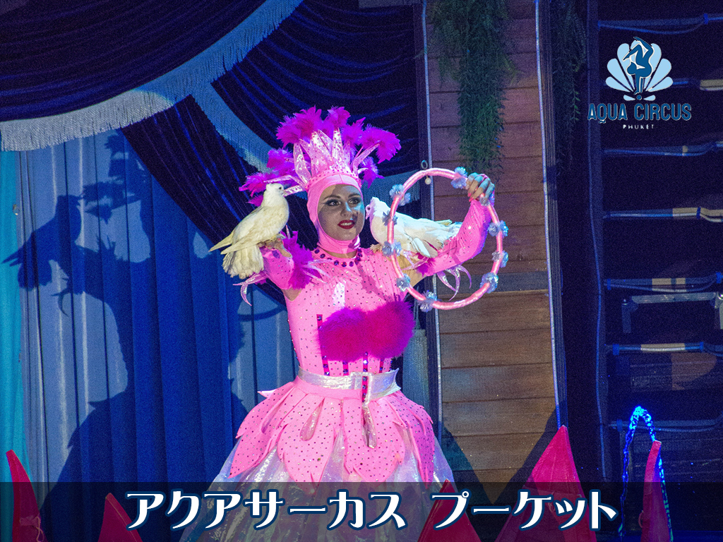 アクアサーカス プーケット / Aqua Circus Phuket