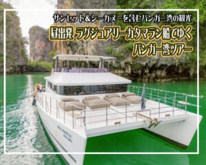 昼出発ラグジュアリーカタマラン船でゆくパンガー湾ツアー