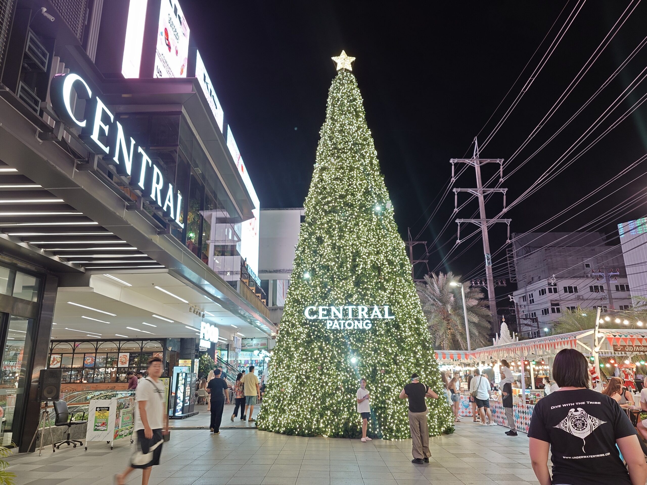 セントラルパトンのクリスマスツリー