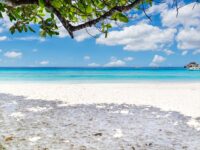 シミラン諸島ツアー