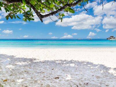 シミラン諸島ツアー